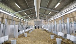 Prioritising youngstock housing is the future